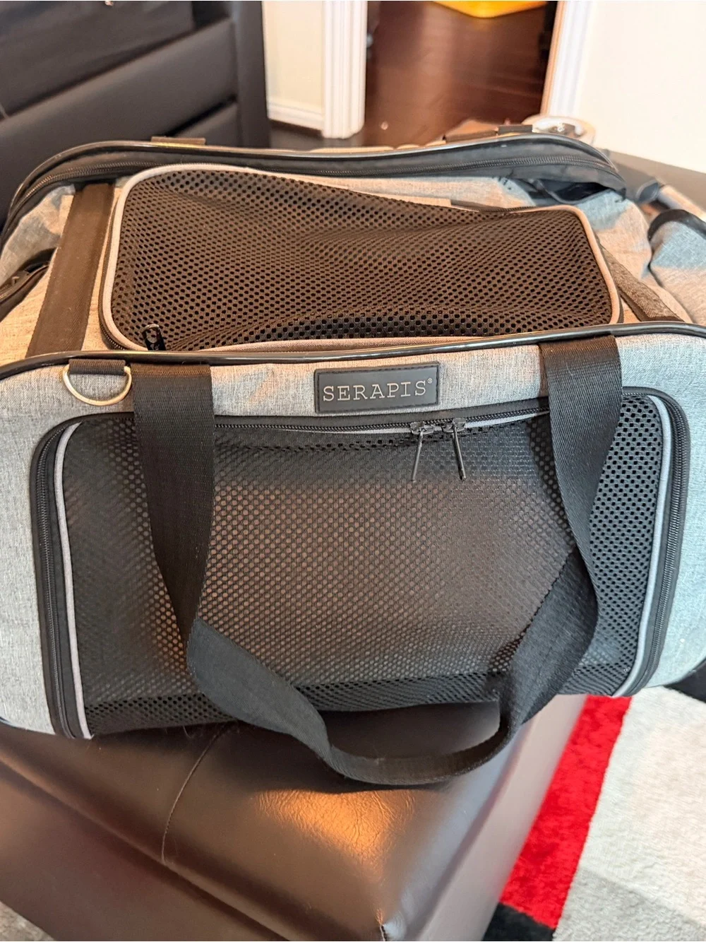 Dog traveling luggage small